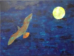 Night Flyer